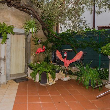 Naomi Lägenhet Zadar Exteriör bild