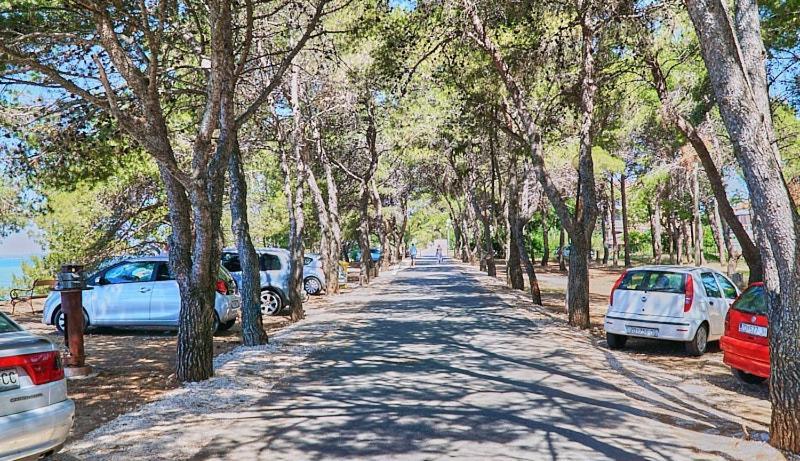 Naomi Lägenhet Zadar Exteriör bild